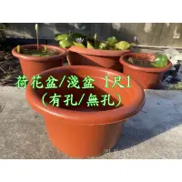 在飛比找蝦皮購物優惠-【園藝城堡】荷花盆 蓮花盆1尺1 淺盆 養魚 種睡蓮 塑膠盆