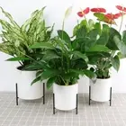 Plastic Lazy Plant Pot with Iron Frame Soil Flower Pot New Hydroponic Planter