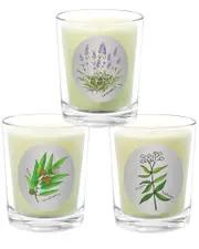 Qualitas Candles 3pc Candle Set - Lavender, Eucalyptus, & Verbena