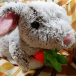 日本 灰灰兔兔抱著紅蘿蔔 絨毛兔子玩偶大娃娃