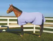 TuffRider 600D Coolmax Turnout Sheet