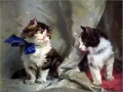 The Blue Bow Kittens Accent Tile Mural Kitchen Bathroom Wall Backsplash Ceramic
