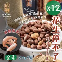 在飛比找鮮拾優惠-【威海】正宗雲林北港經典原味花生(全素/230g/瓶)x12