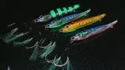 Slow Pitch Metal Lure Jigs Lumo Pillie 30-150g Snapper Kingfish Reds Salmon Aus