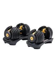 Powertrain 48kg Adjustable Dumbbell Set Home Gym Exercise Equipment Weights Gold