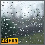 Rain on Window Screensaver - Thunder Sounds for Sleep