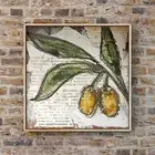 Olive Tree Botanical Drawing 4” Olive Branch Sketch Charcoal & Watercolor Art