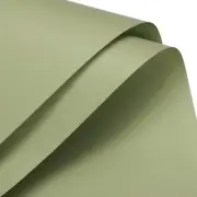 Pearlescent Film Flower Wrapping Paper 22.8x22.8 Inch Green Pack of 20