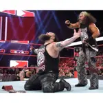 WWE MATT HARDY & BRAY WYATT "DELETERS OF WORLDS"AUTHENTIC現貨