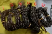 Mane Horse Hair Get Down Rope 16 feet 1/4" diameter-Choose from 6 Color Patterns