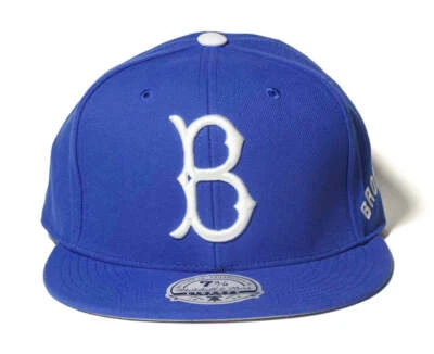 Mens Mitchell & Ness MLB EVERGREEN FITTED COOP DODGERS