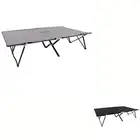 Two Person Folding Sun Lounger Chaise Lounge Field Hiking Guest Bed Steel vidaXL