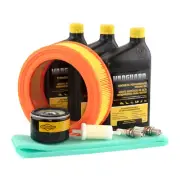 OEM Briggs & Stratton Vanguard Sm. Block Big Block V-Twin 84004936 Tune Up Kit