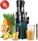 Electric Cold Press Juicer, 200W Slow Masticating, Wide Chute, 800ml, BPA-Free,
