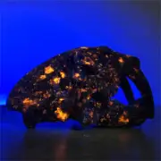 190g Natural Yooperlite saber-toothed tiger Skull Reiki Quartz Crystal Skull Dec