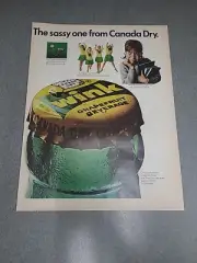 Wink Grapefruit Soda Canada Dry Vintage Print Ad 1966 10x13