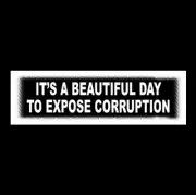 "IT'S A BEAUTIFUL DAY TO EXPOSE CORRUPTION" Anti NWO Globalism Joe Biden STICKER
