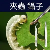 在飛比找蝦皮購物優惠-鑷子 不鏽鋼 【彎、直 兩款】不鏽鋼鑷子 多肉鑷子 除蟲 小