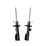 Front Roadsafe STR Sealed Strut Shocks for Holden Captiva 5 Captiva 7 CG 06-19
