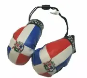 Dominican Mini Boxing Gloves Car Decoration Mirror Hang Ornament