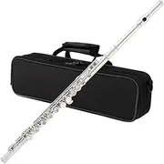 Yasisid Closed Hole C Flute 16 Keys Instrument for Student Beginners with Cleaning Kit, Stand, Carrying Case, Gloves and Tuning Rod