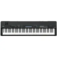 在飛比找蝦皮購物優惠-『放輕鬆樂器』 全館免運費 YAMAHA CP-40 CP4