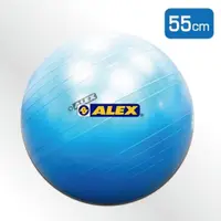 在飛比找蝦皮購物優惠-【ALEX】韻律球 (55cm) B-3055