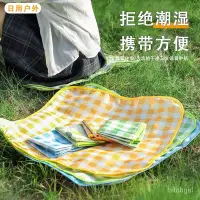 在飛比找蝦皮購物優惠-🔥台灣發售🔥  戶外坐墊 野餐墊 地墊 可折疊 防水耐臟 戶