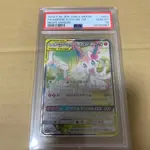 寶可夢 神奇寶貝 POKEMON 卡 仙子伊布 沙奈朵 日本直送 二手