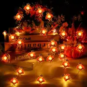 [Timer] 15 FT 40 PCS LED Thanksgiving Turkey String Lights - Festive Turkey-Shap