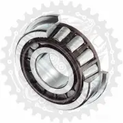 New 30205A Taper Roller Bearing For Aprilia RS 50 Extrema/Rep T