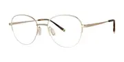 Paradigm Cassidy Gold Men's Glasses Gold Size 50 - Private Health Rebate - Blue Light Block Available