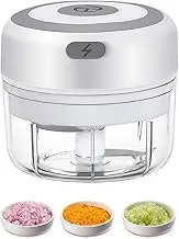 Electric Mini Food Chopper, 100ML USB Garlic Mincer, Portable Small Processor for Vegetables, Onion, Ginger, Chili