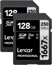 128GB (2-Pack) Professional 1667X SD Card, UHS-II, C10, U3, V60, Full HD, 4K, up