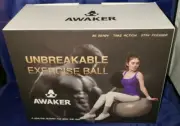 UNBREAKABLE EXERCISE BALL AWAKER GREY 55 WORKOUT GUIDE TRAVEL SACK HAND PUMP INC