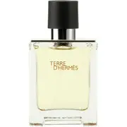 Terre D'hermes By Hermes 100ml Edts Mens Fragrance