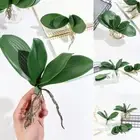 Leaves Artificial Plants Plastic Grass Simulation Leaves Phalaenopsis Leaf