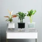 Water Absorption Planter Indoor Self Absorbed Watering Pot Flower Container HG