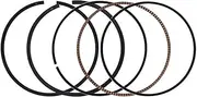 66mm 66.25mm 66.5mm 66.75mm 67mm STD +25 0.5 Piston Rings Kit for DF200 E ET EV EW WX EY 1996-2000 SP200 1986-1988 DR200S(STD)