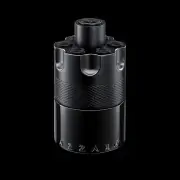Azzaro The Most Wanted EDP Intense, 100ml