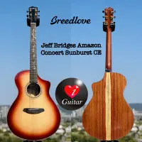 在飛比找蝦皮購物優惠-【iGuitar】Breedlove Jeff Bridge