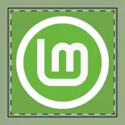 Custom Poly Twill Napkin, Modern Table Setting, Eco-Friendly Dining Linux Mint