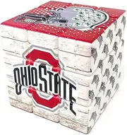 NCAA Ohio State Buckeyes Speed Cube
