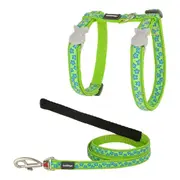 Cat Harness by Red Dingo Style Turquoise Star Strap