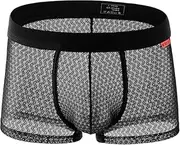 [Generic] Mens Sexy Boxer Briefs Mesh Breathable Underwear See Through Lingerie Panties Trunks with Bulge Pouch