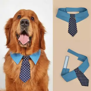 頂級寵物項圈貓狗牛仔領帶節日派對寵物領帶服裝配飾可調節貓領帶寵物領帶