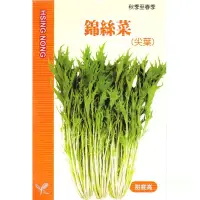 在飛比找Yahoo!奇摩拍賣優惠-種子王國 尖葉錦絲菜 京都水菜【蔬果種子】甜度高 秋季至春季