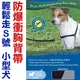 美國普立爾Premier．Easy Walk Harness 輕鬆走防暴衝胸背帶【S號-小型犬適用】