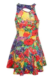 Art Attack Skater Dress--MIN-MP4525