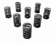 AUSTIN HEALEY SPRITE & MG MIDGET 1967 - 1974 1275 cc SET OF DOUBLE VALVE SPRINGS